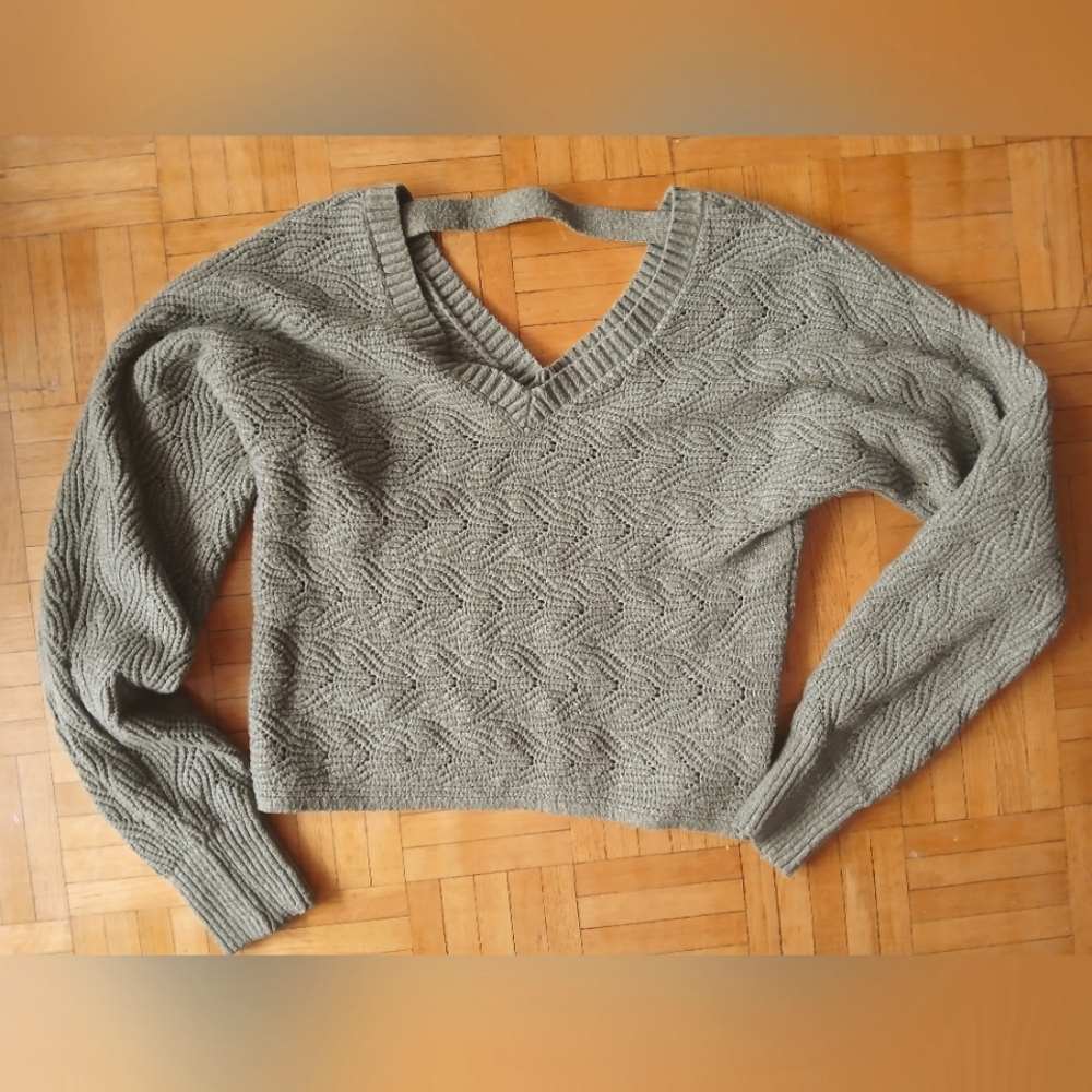 Cozy Pink Rose Cropped Sweeter - Sage